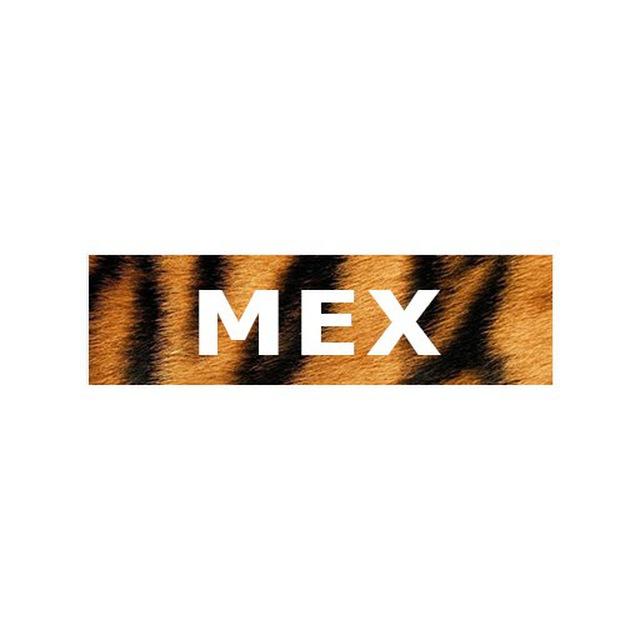 MEX STUDIO — Логотип